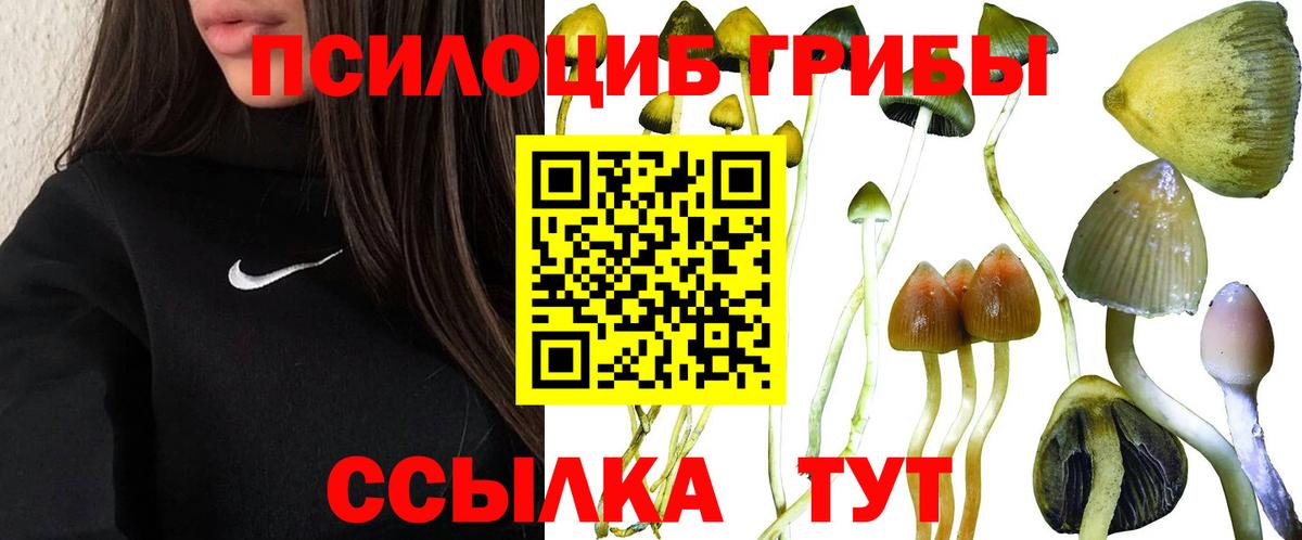 купить наркотики сайты  Псилоцибиновые грибы прущие грибы  Вход с VPN  Новый Уренгой 